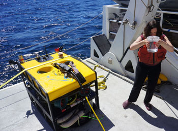 Karen Osborn retrieves the suction bucket from the mini ROV after it is secured on deck. The vehicle’s suction sampler has eight buckets for collecting samples.