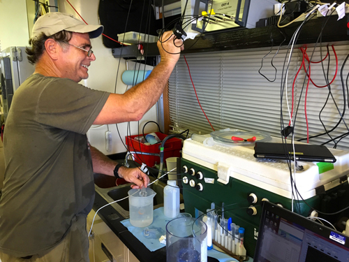 Kim works with the Midwater Respirometry System in the wet lab. He will keep individual animals in the system for up to 24 hours, measuring the change in oxygen concentration per volume of water.
