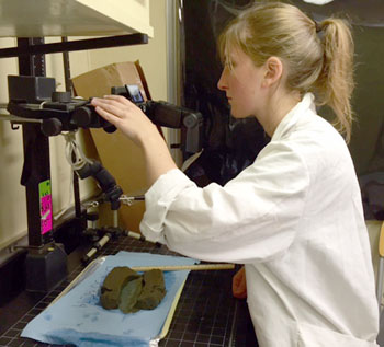 Lauren Shumaker takes a photo of a core that has been split in half. The sediment will then be bagged and refrigerated until it can be analyzed by Mary McGann at the U.S. Geological Survey.