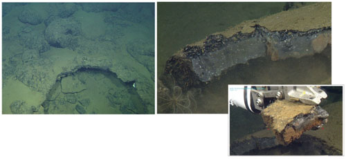 (left) these pillow lavas formed a crust while still hot, and then the remaining lava drained out. The collapsed, hollow crust provides an edge that is easy for the ROV manipulator arm to grasp and sample. (right) the black, glassy rind of the pillow, which formed when the lava cooled rapidly in contact with cold seawater and trapped the magmatic gasses, making it desirable for analysis.