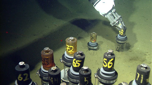 The ROV manipulator arm inserts a push core into the deep-sea sediment.