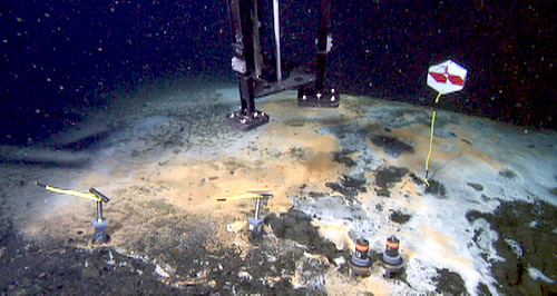 Here you can see the dense white and yellow/orange bacterial mats, two push cores (lower right), two peepers (lower left), and a site marker (upper right). The ROV manipulator is holding the laser Raman tripod in the center. We will return to this site in two days to recover the peepers and modified push cores.