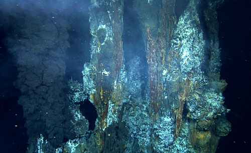 Shannon Johnson sampled this smoker (and others like it) for larvae by collecting water into containers attached to the ROV. She sampled both inside and outside of the plumes, and will compare the larval communities of each back in the lab.