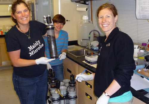 Victoria Orphan (left), Kat Dawson (middle), and Ally Pasulka (right) happily examine their push cores full of bacterial mat. They will spend many hours tonight processing these samples.