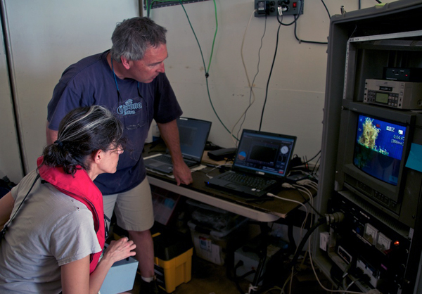 Alana Sherman and Dale Graves operate the ROV Phantom. The video shows a piece of Sargassum seaweed that was attached to the robot for observation.