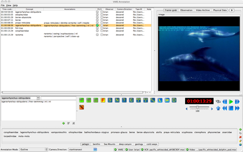The Video Annotation and Reference System (VARS) is a software tool, developed by MBARI engineers, that we use to make observations about everything we see on an ROV dive. At sea, we use it to take frame grabs and mark samples, getting an outline of what happened on a dive. Back in the lab at MBARI, we’ll use VARS to annotate the dive video in detail.
