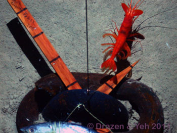 A red shrimp and tiny white amphipods are the first to arrive at the bait, 5100 meters on the seafloor.
