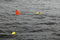 Spar buoy and baited camera system return to the surface after 24-hours in the deep.