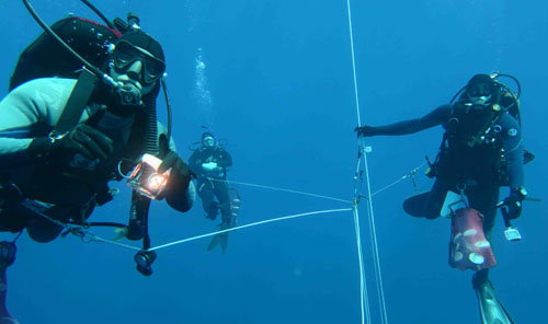The blue-water divers are hooked into a safety line at all times. Divers from left to right: Steve, Cat, and Wyatt. The red mesh bag clipped to Wyatt is filled with glass sample collection jars. The divers use complex hand signals to communicate underwater. For more information on blue-water diving see: http://nsgd.gso.uri.edu/casg/casgh05001.pdf. Photo by George Matsumoto.