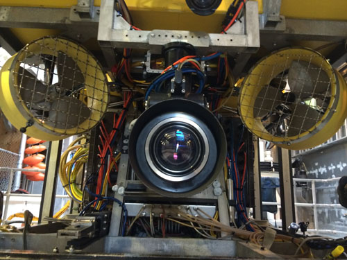 The ROV Doc Ricketts camera offers a close-up look at what lives in one of the world’s most oxygen-limited environments.