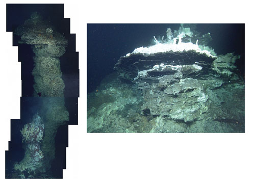 (left) Mosaic of a hydrothermal chimney at the Meyibó vent field on the Alarcón Rise. The lower part has more active flow of vent fluid and hosts Riftia pachyptila tubeworms. The upper part of the chimney is no longer actively venting (the plumbing of these systems can become clogged with minerals precipitated from the vent fluids); it is covered with serpulid worms that flourish in cooler, yet sulfide-rich, water near active vents. (right) Looking up at the underside of a large flange with hot vent fluid ponding underneath, high on a chimney at the newly discovered Pescadero Basin vent field. This chimney is the same pictured at the bottom of the April 12 log, and we will be naming it 