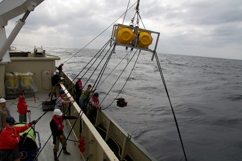 The baited camera system is deployed off the deck of Lone Ranger. The frame with yellow floats houses a video camera, still camera, and data logger that point toward the seafloor. Anchor weights and bait land on the seafloor under the frame and the bait attracts scavengers like fish and crabs.