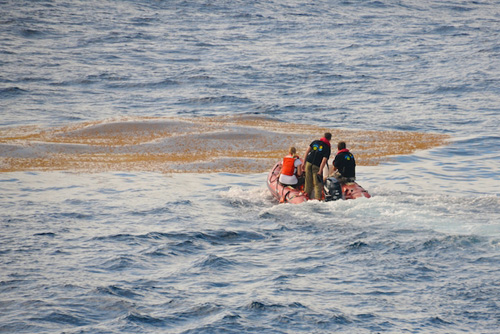 Researchers approach a large Sargassum patch aboard the Scout. Photo: Debbie Nail Meyer