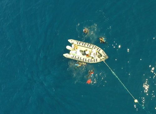 A drone operated from the Western Flyer by Captain Andrew McKee and ROV pilot Ben Erwin captured this image of the blue-water SCUBA divers as they entered the water.