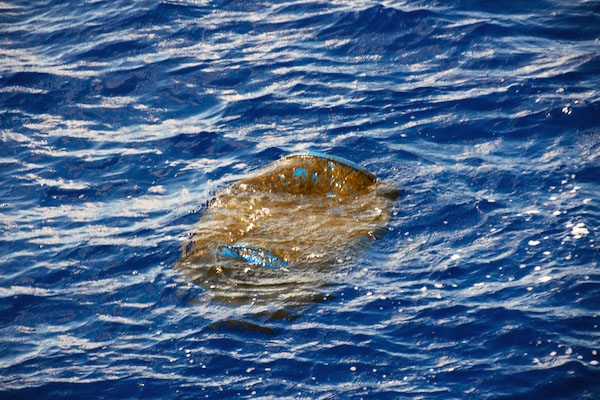 Even in the remote Sargasso Sea, we’ve encountered marine debris like this metal drum floating in the surface waters.