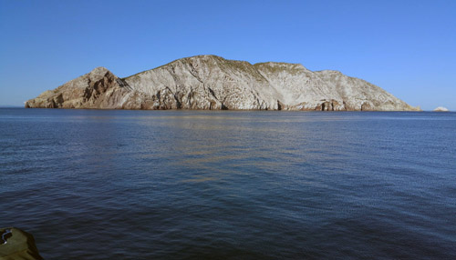 Isla San Pedro Martir–the sleeping, white-sided lizard. The white color is all guano, the excrement of mainly seabirds.