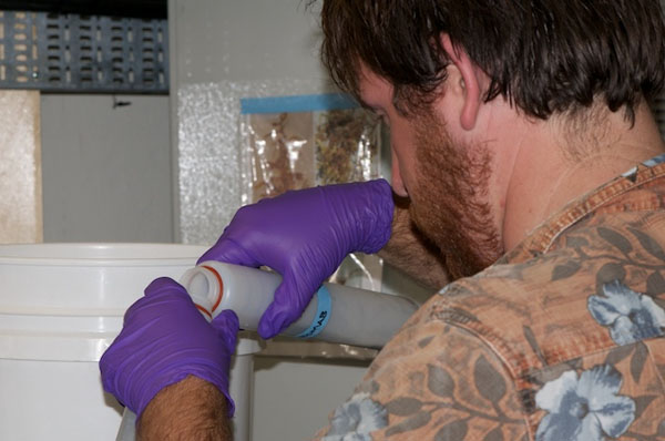 Jake Ellena prepares the sediment trap samples for the freezer where they will stay until shipment to California when we arrive at port. There were 36 collection bottles in total on the two sediment traps.