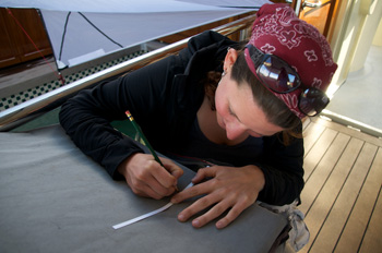Judit Pungor prepares a set of labels for the genetic samples. Date, sampling location, and species are recorded on the special paper strips.