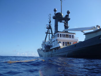 A view of the Lone Ranger from the ocean during snorkeling observations. Photo: Debbie Nail Meyer