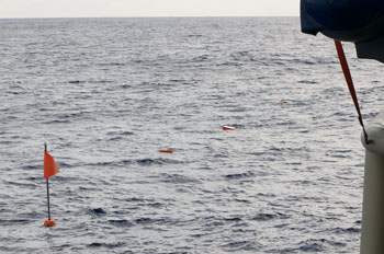 The mast of the Sargasso Sea deep-sea observatory and three floats drift on the surface after being released from the seafloor. Photo: Debbie Nail Meyer