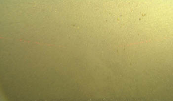 Murky waters at 1,000 meters depth in the Salsipuedes Channel. It was hard to see anything.