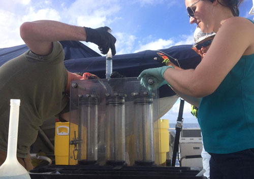 Jason Smith and Marguerite Blum prepare the in situ incubator with a nitrogen isotope.