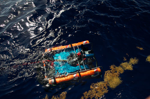 ROV Phantom explores a patch of Sargassum.