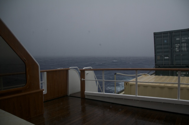 As the ship steamed to our next sampling location, we passed through rain showers and overcast skies in the early morning hours. By early afternoon, the skies had cleared as we continued with our collections of Sargassum seaweed.