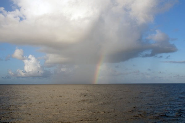 A beautiful rainbow greets Lone Ranger as the sun rises. The science team began the day with a search for Sargassum patches. There were vast areas of empty blue water as the ship surveyed the area around Station #6, but eventually some windrows of the seaweed appeared.