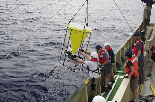 The sediment trap is lifted out of the sea. More floats and a second sediment trap are positioned on the line below. Photo: Debbie Nail Meyer