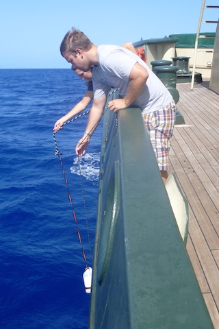 Jeff Peterson and I use a modified bucket to gently release any Sargassum fish that we collect back into the ocean. We put a clump of seaweed in the bucket for each release so that the fish has its floating habitat.