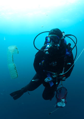Cat Munro during a blue water dive with a salp nearby.