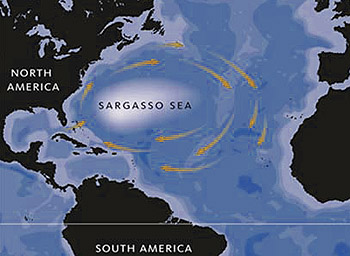sargasso-sea-map-350