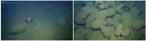 Comparison of variable sediment cover on pillow flows at the Pescadero transform fault. Left, about a meter of sediment. Right, very little sediment. Extrapolating from previous radiocarbon dating of sediment samples collected here, we believe, the flow in the left photo could be 25,000 years old, while the flow in the image on the right could be less than 150 years old. This huge range of ages supports the idea that the transform fault is not just strike-slip but has transtensional motion, and has been for a long time. Transtensional motion means that two different blocks of crust (or rocks on either side of a fault) are pulling apart from one another and sliding past one another at the same time.