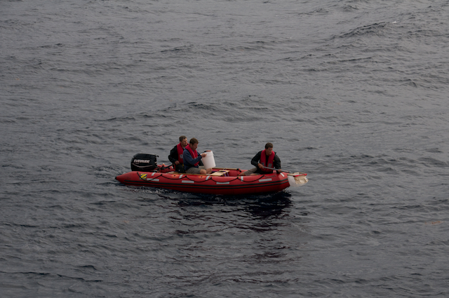 Jeff Drazen, Sergiy Sokirko, and Kyrylo Ierofieiev collect Sargassum seaweed from a small boat.
