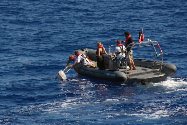 A small boat was launched from Lone Ranger to motor closer to the patches of Sargassum for collection. The researchers scooped the algae with nets and transferred the samples into buckets.