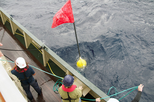 A Spar buoy for the baited camera system is put into the water first then followed by the frame and bait.
