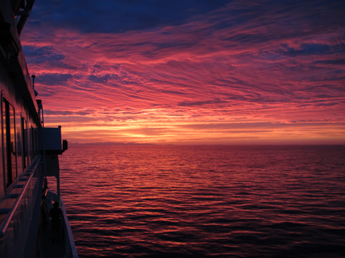 Sunsets in the Gulf of California are truly stunning, but bittersweet as the cruise comes to an end.