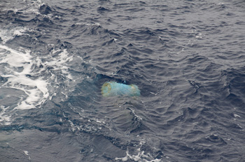 We have seen some garbage floating by during the expedition, like this plastic barrel. Photo: Debbie Nail Meyer
