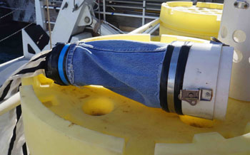 I was really impressed with how creative the researchers could be when they were missing resources or encountered faulty equipment at sea. On this trip, Casey and Cat made dry ice using an extra carbon dioxide fire extinguisher. Erik made an adapter for the trawl net using a denim pant leg cut from George’s blue jeans!