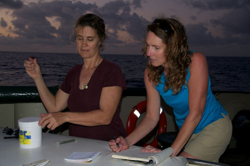 Kathleen Sullivan-Sealey and Debbie Nail Meyer test water quality parameters using a classroom science kit.