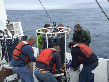 water samples