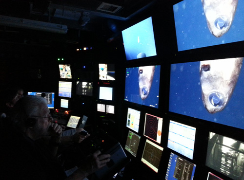 Principle Investigator Bruce Robison observes an owlfish on the ROV Doc Ricketts video feed. As the ROV descends through the ocean depths, the light from the sun is filtered out. Mesopelagic fish have adapted for life under these low light conditions. Surprisingly, most of them are visual predators with large eyes large and sensitive enough to use bioluminescent light. Their eyes can be as much as 100 times more sensitive to light than human eyes