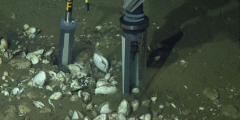 The peeper (left) and push core (right) did not penetrate deeply into the sediment at this site, indicating underlying rock.
