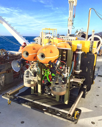The rover is secured on the back deck. Over the next few days, the team will download the data, perform maintenance, and prepare it for another deployment. They will deploy the rover again before leaving Station M. That deployment will last five months.