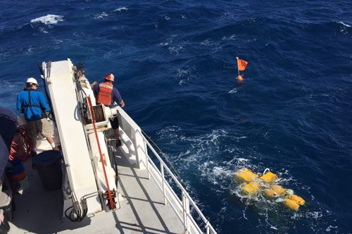 The rover has a 20-meter-long line that is attached to a spar buoy, which makes it easy to find when it comes up to the sea surface. The crew throws a grappling hook to catch the line and then attaches the line to the crane for recovery.