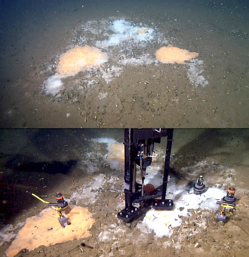 Top: An overview of the bacterial mats. Bottom: The mat area with all of the samplers deployed as the Raman measures the chemical spectra.