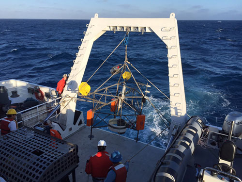 On this expedition, the team recovered the camera tripod mooring, serviced it, and redeployed it. In this photo, it is deployed using the A-frame on the R/V Western Flyer.