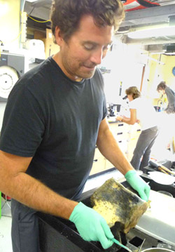 Lonny Lundsten works in the lab removing numerous Idas mussels from a whale bone. In the background, Shana Goffredi sorts through samples for juvenile Idas mussels and Ben Grupe works on his samples.
