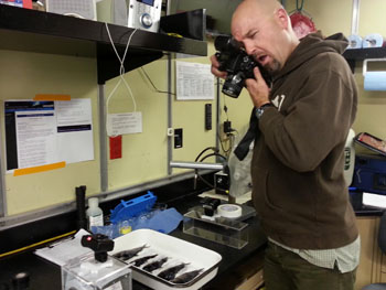 Senior Research Technician Rob Sherlock photographs specimens for future reference. They will run a stable isotope analysis on these fish to try to understand what they eat and where they fit into the deep midwater food web.